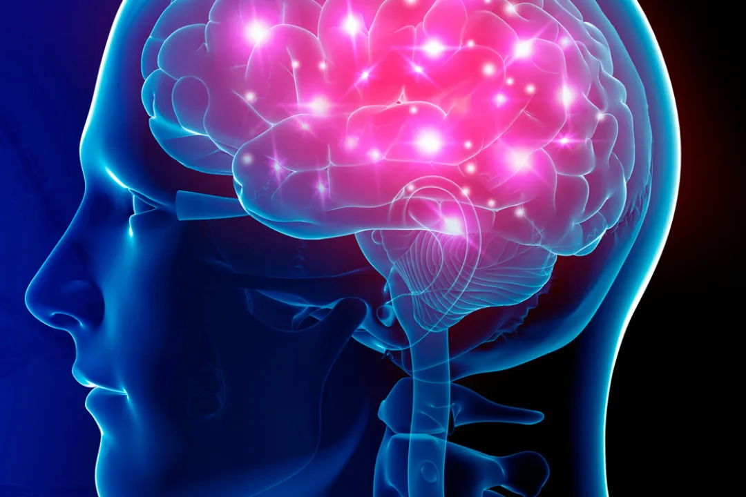 Saúde neurológica e a visão andam lado a lado