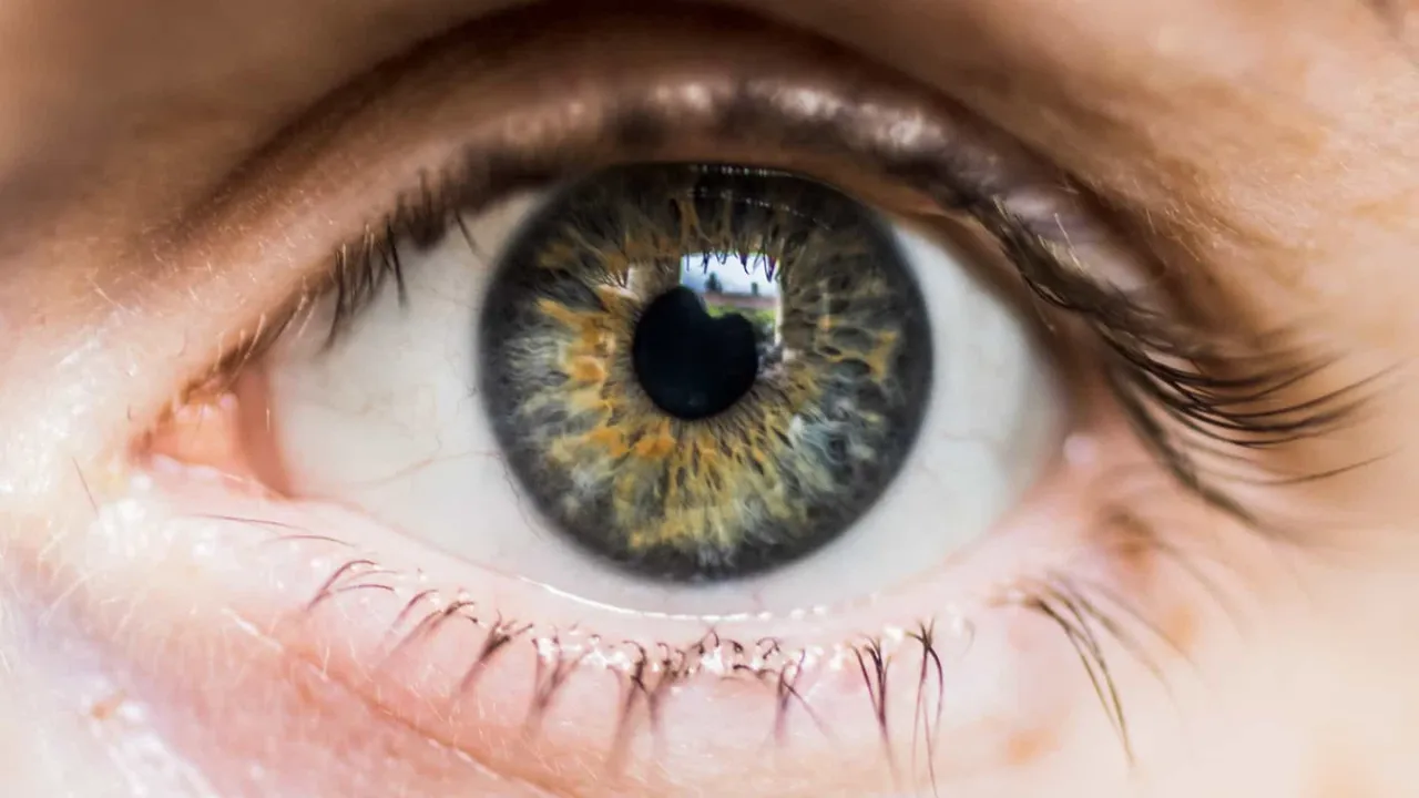 Ver bem não significa que está tudo bem