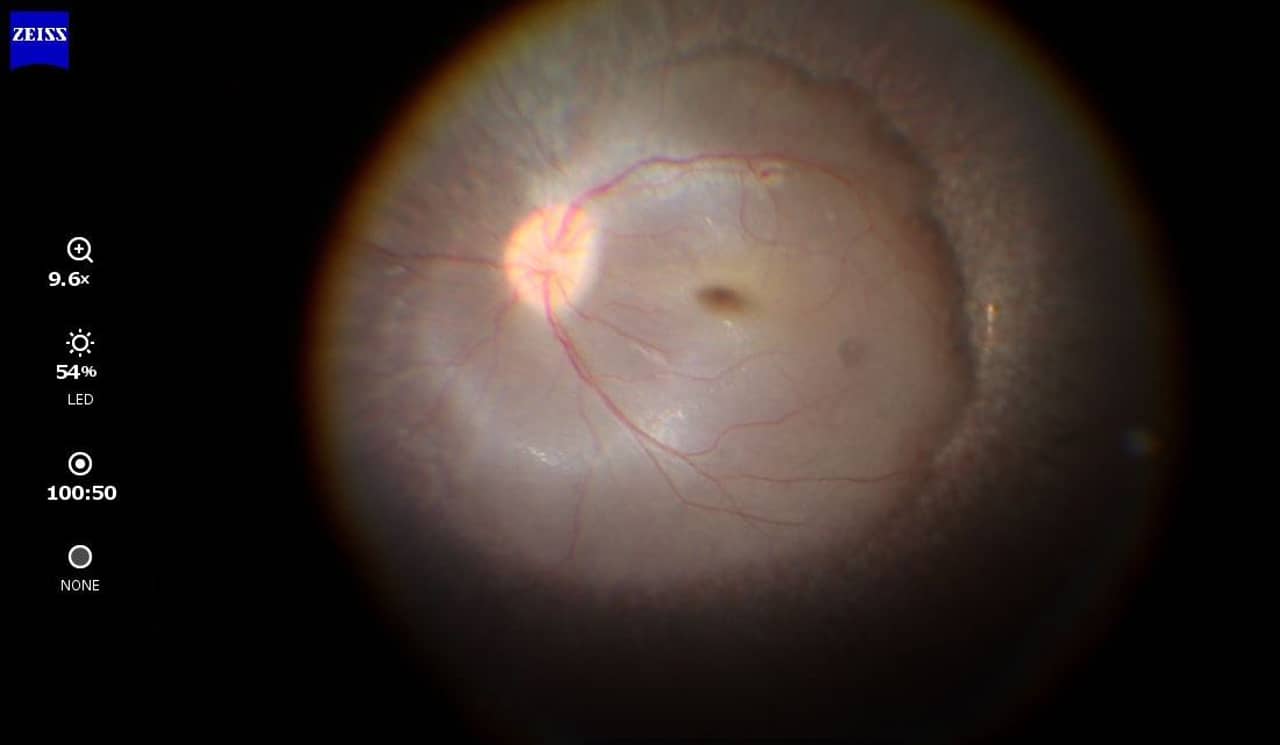 Os olhos de Maria