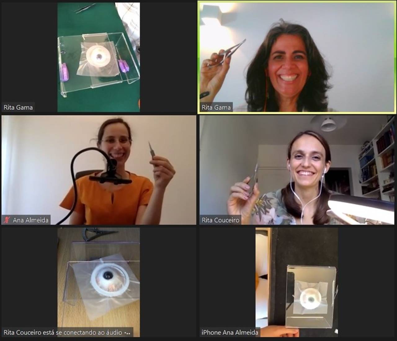 Segunda edição do Webinar de Wet Lab de cirurgia de estrabismo
