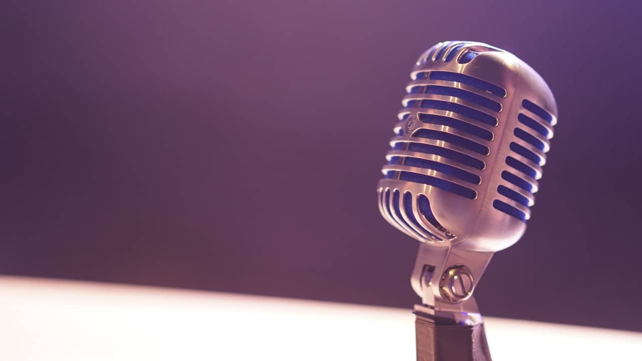 Ana Vide Escada, secretária-geral adjunta da SPO, no podcast P24