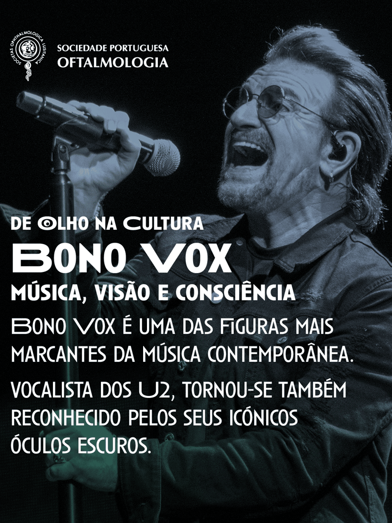 Bono Vox: Música, Visão e Consciência