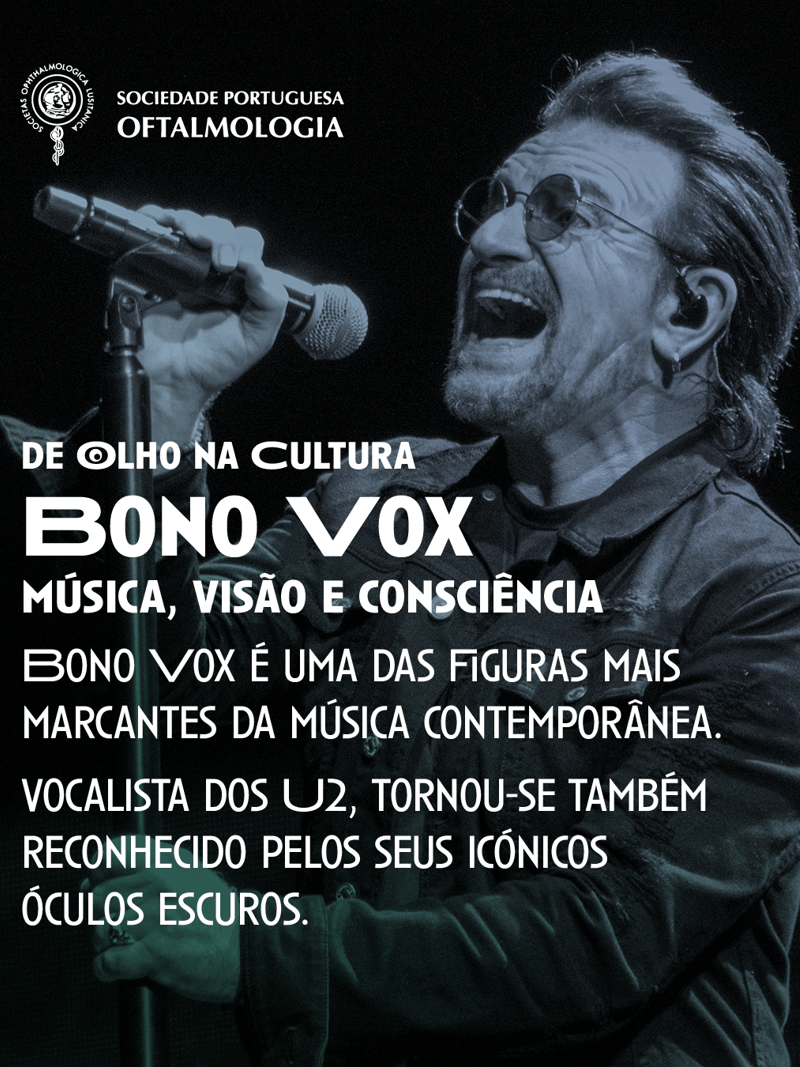 Bono Vox: Música, Visão e Consciência