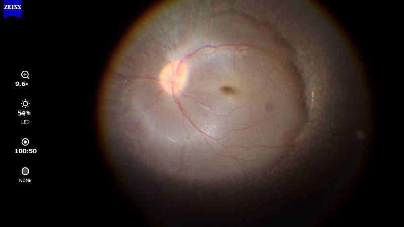 Os olhos de Maria